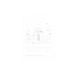 action button